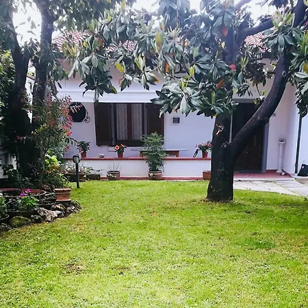 Il Nido Appartement Carrare